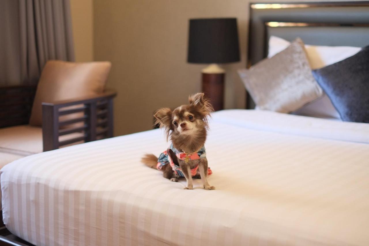 Grand Mercure Bangkok Asoke Residence Ngoại thất bức ảnh